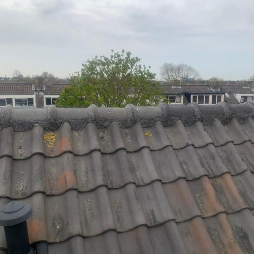 Nokvorst renovatie 2